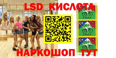 крисы Будённовск