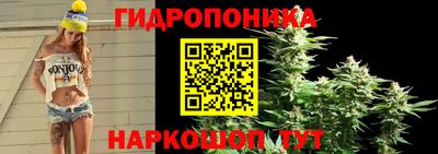 крисы Будённовск
