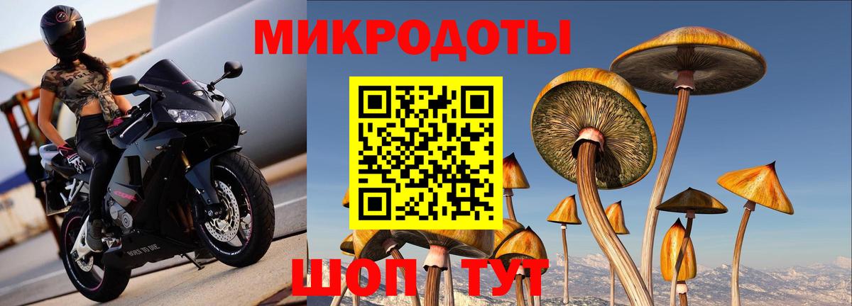 Псилоцибиновые грибы Psilocybine cubensis Кулебаки